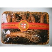 뿌리삼-수삼 대 6~7편(750g)