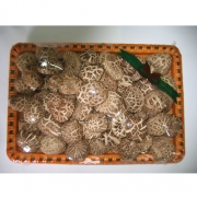 버섯류-화고 1kg