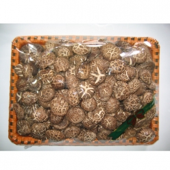 버섯류-흑화고 1kg