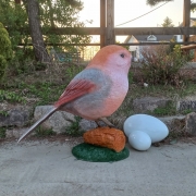 붉은머리오목눈이/뱁새/1호