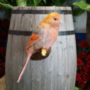 붉은머리오목눈이/뱁새/2호