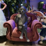 고양이조형물 커피잔을 들고 앉자 있는 모습