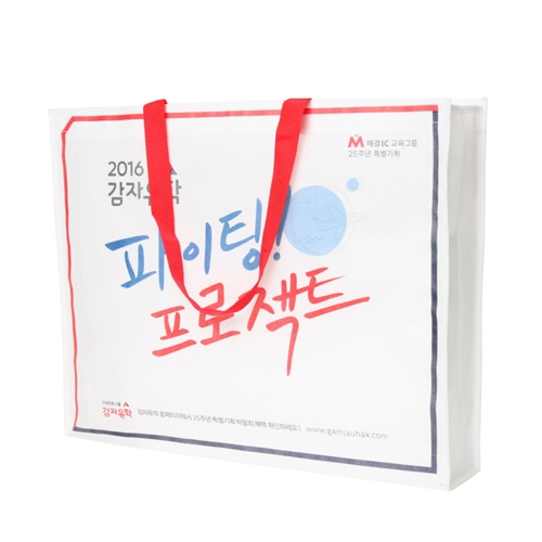부직포가방(M형)
