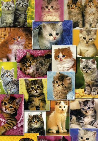 500피스 직소퍼즐 고양이 컬렉션 퍼즐라이프 PL680