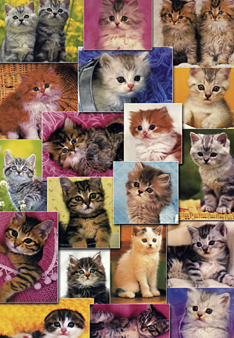 1000피스 직소퍼즐 고양이 컬렉션 퍼즐라이프 PL1255