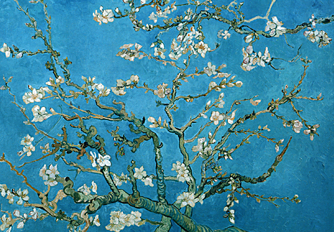 1000피스 직소퍼즐 고흐 꽃이 핀 아몬드 나무의 가지들 퍼즐라이프 PL1146