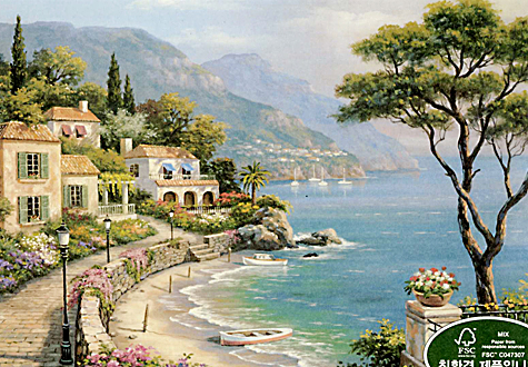 1000피스 직소퍼즐 성김 이스케이프 퍼즐라이프 PL1281