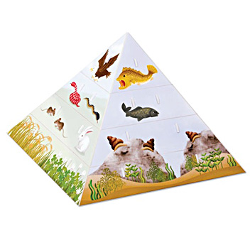 3D입체퍼즐 먹이피라미드 종이모형 스콜라스 SP10-0254