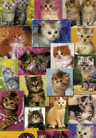 150피스 직소퍼즐 고양이 컬렉션 퍼즐라이프 PL263