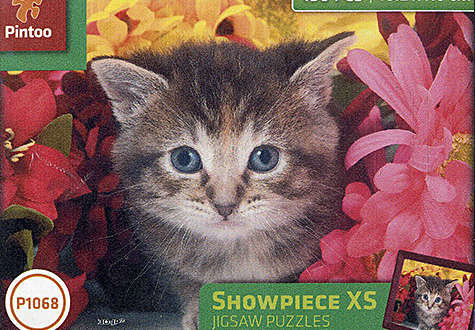 150피스 직소퍼즐 꽃에 숨은 고양이 플라스틱퍼즐 핀투 PT150-1068 -단종-