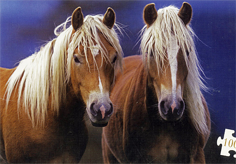 1000피스 직소퍼즐 두마리의 말