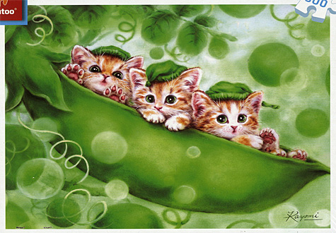 500피스 직소퍼즐 카요미 하라이 콩깍지 속 아기고양이 미니 플라스틱 핀투 -단종-