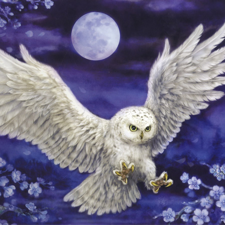 1000피스 직소퍼즐 앵화복룡 에포크 EP11-511