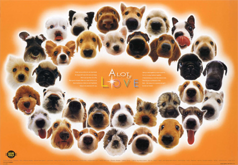 1000피스 직소퍼즐 강아지 사랑 비버리 -단종-