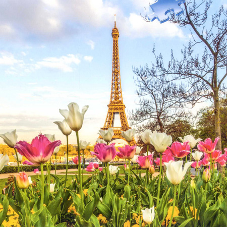 1000피스 직소퍼즐 에펠탑 튤립공원 라벤스브루거