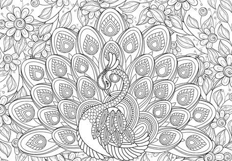 300피스 직소퍼즐 공작새 색칠 유로그래픽스 -단종-