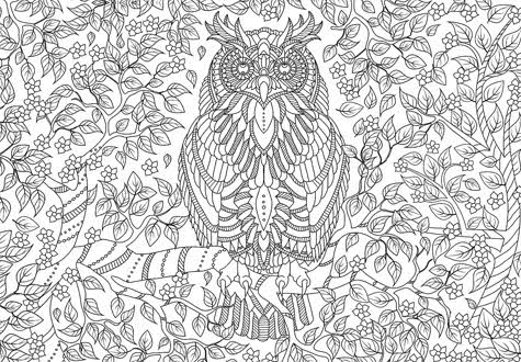 500피스 직소퍼즐 지혜로 가득찬 색칠 큰조각 유로그래픽스 -단종-