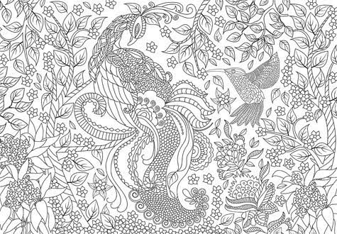 500피스 직소퍼즐 열대지방의 새 색칠 큰조각 유로그래픽스 -단종-