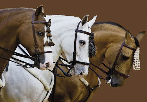 1500피스 직소퍼즐 품위 있는 말 라벤스브루거