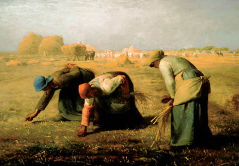 500피스 직소퍼즐 밀레 이삭줍기 오메가 OMP632