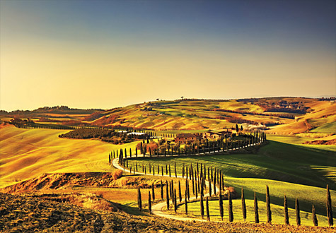 500피스 직소퍼즐 투스카니의 시에나 점토 길 퍼즐코리아 PK500-3518