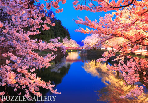 1000피스 직소퍼즐 벚꽃 야경 챔버아트 CA1146