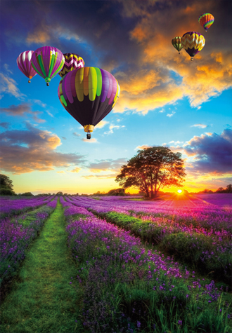 1000피스 목재 직소퍼즐 보라빛 비행 WPK1000-15