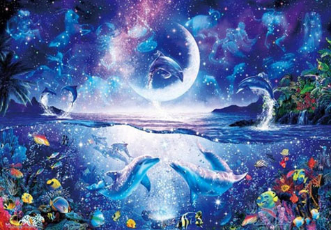 1000피스 직소퍼즐 놀라운 돌고래의 밤 에포크 EP13-026