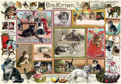 500피스 직소퍼즐 애완동물 컬렉션 2종set 페레 PR3611