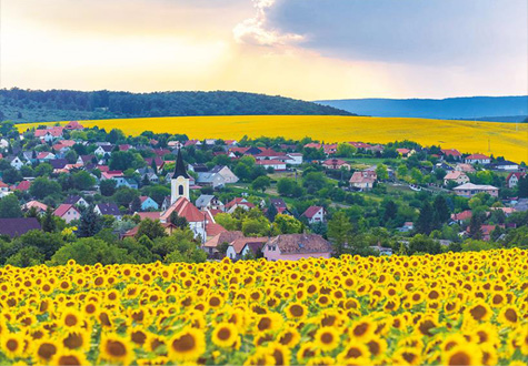 1000피스 직소퍼즐 해바라기마을 퍼즐라이프 PL1401