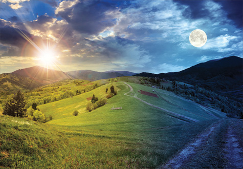 1000피스 직소퍼즐 낮과 밤의 콜라주 퍼즐코리아 PK1000-3177