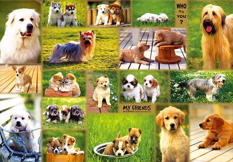 500피스 직소퍼즐 강아지 친구들 퍼즐라이프 PL873