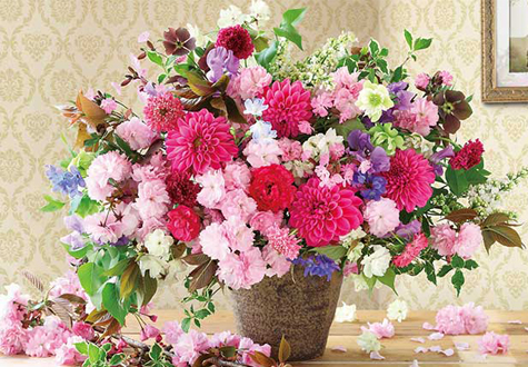 1000피스 직소퍼즐 브릴리언트 달리아 애플원 AO1000-834