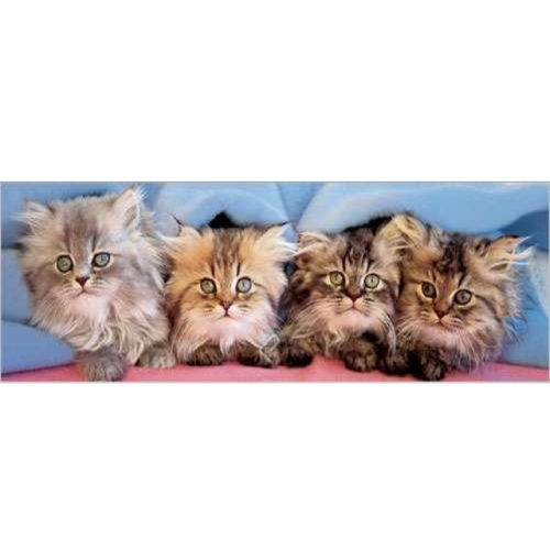 750피스 직소퍼즐 장난꾸러기 고양이들 유로그래픽스 EU6005-4678 -단종-