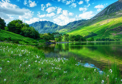 1000피스 직소퍼즐 이탈리아 디스트릭 공원 퍼즐갤러리 PG1014