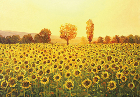 1000피스 직소퍼즐 해바라기들판 썬앤트리 HP1051