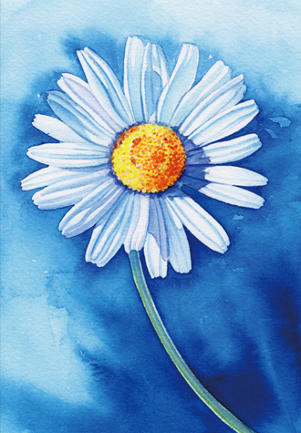 1000피스 목재 직소퍼즐 마타탄 데이지 희망 퍼즐갤러리 PW1015