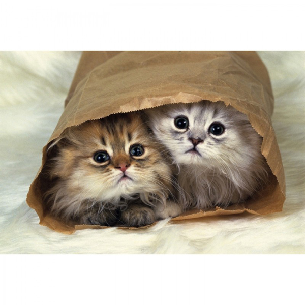 150피스 플라스틱 직소퍼즐 고양이 숨바꼭질 + 이젤 초미니조각 핀투 -단종-