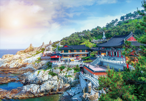 500피스 직소퍼즐 부산 해동용궁사 퍼즐갤러리 PG509