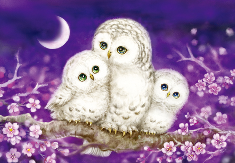 1000피스 직소퍼즐 애지중지 퍼즐사랑 PS1014