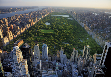 1000피스 직소퍼즐 센트럴 파크 챔버아트 CA1162 -단종-