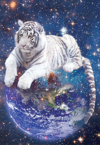 2000피스 직소퍼즐 지구를 품고 있는 백호 미니조각 퍼즐코리아 PK2000-M3224