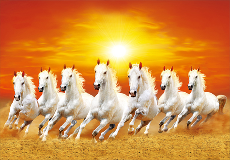 500피스 직소퍼즐 질주하는 말들 알록 AL5014