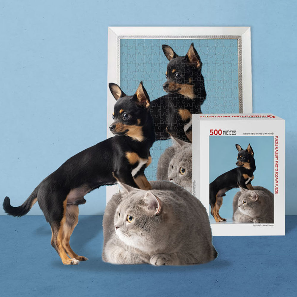 150피스 300피스 500피스 1000피스 반려동물 반려견 반려묘 사진퍼즐제작 포토직소퍼즐 BANSP