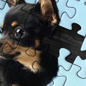300피스 반려동물 사진직소퍼즐 국내유일 조립가능 제작사진퍼즐