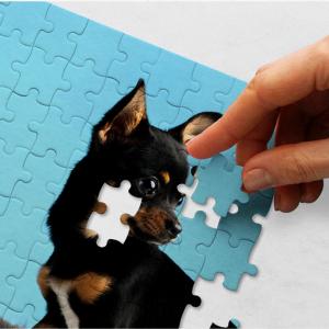300피스 반려동물 사진직소퍼즐 국내유일 조립가능 제작사진퍼즐