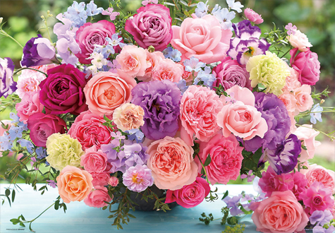 600피스 직소퍼즐 블루밍 로즈 비버리 BE66-107