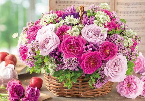 500피스 직소퍼즐 장미빛 에튜드 애플원 AO500-299