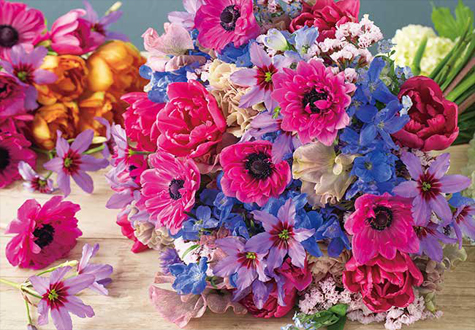 500피스 직소퍼즐 아름다운 아네모네 애플원 AO500-300