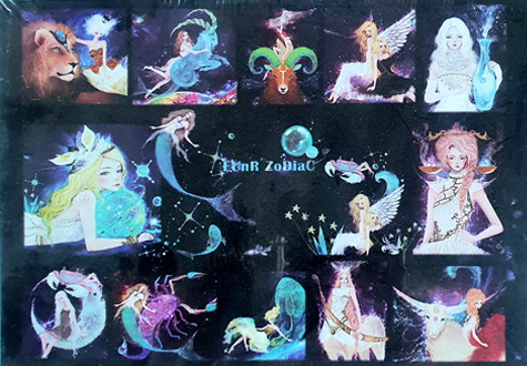 300피스 직소퍼즐 별자리 조디악 오메가 OMP334